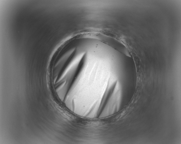 X0000068750342200605121615