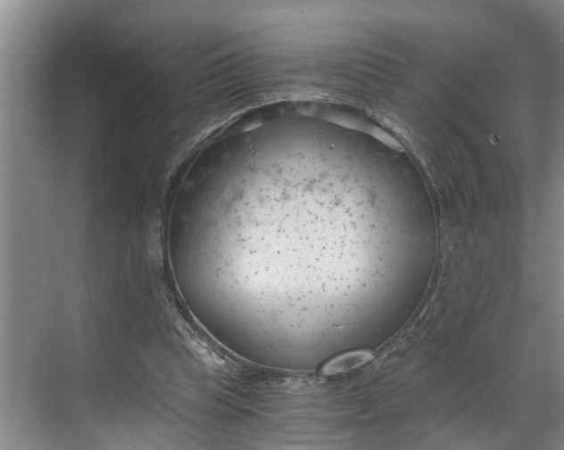 X0000068750345200605121615