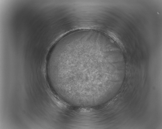 X0000068750346200605121615