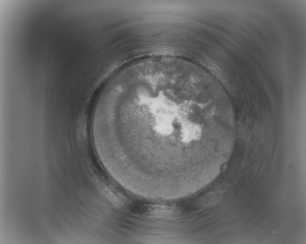 X0000068750347200605121615