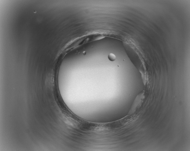 X0000068750348200605121615