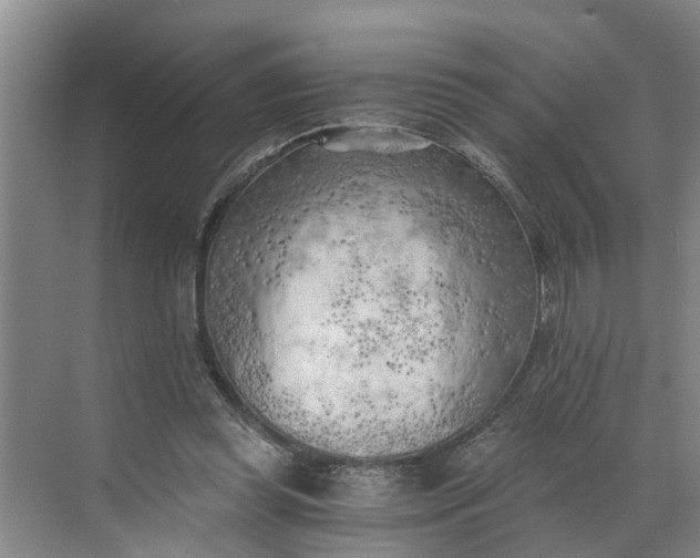 X0000068750349200605121615