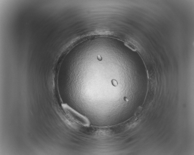 X0000068750350200605121615