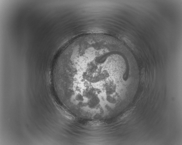 X0000068750351200605121615