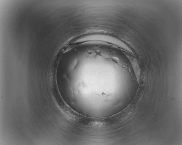 X0000068750352200605121616