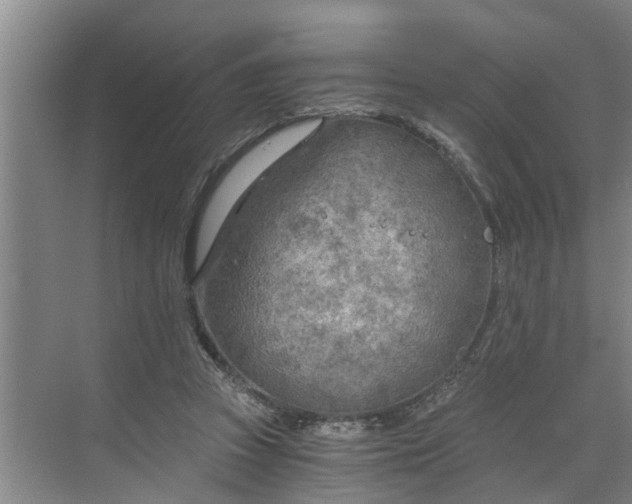 X0000068750353200605121616