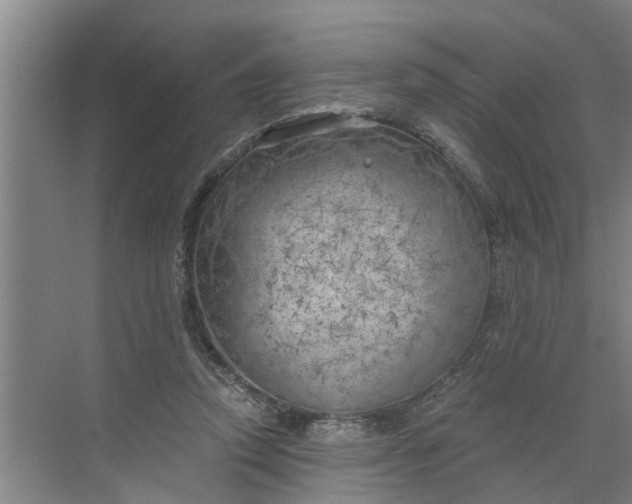 X0000068750354200605121616