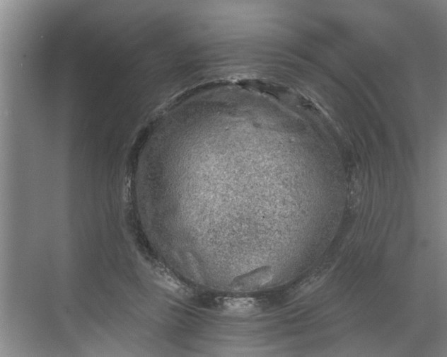 X0000068750355200605121616