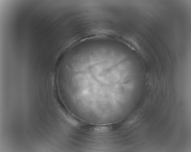 X0000068750357200605121616