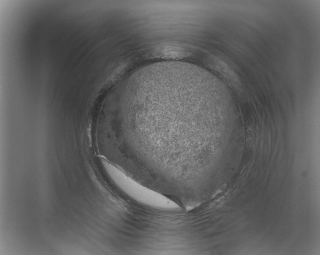 X0000068750358200605121616