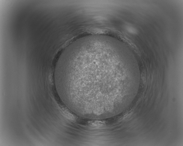 X0000068750359200605121616