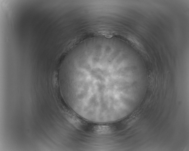 X0000068750361200605121616