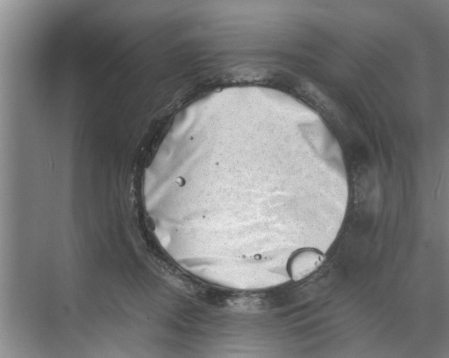 X0000068750362200605121616