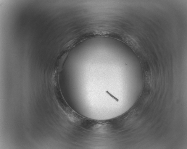 X0000068750364200605121616