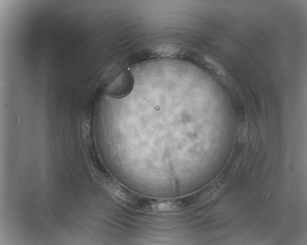 X0000068750365200605121616