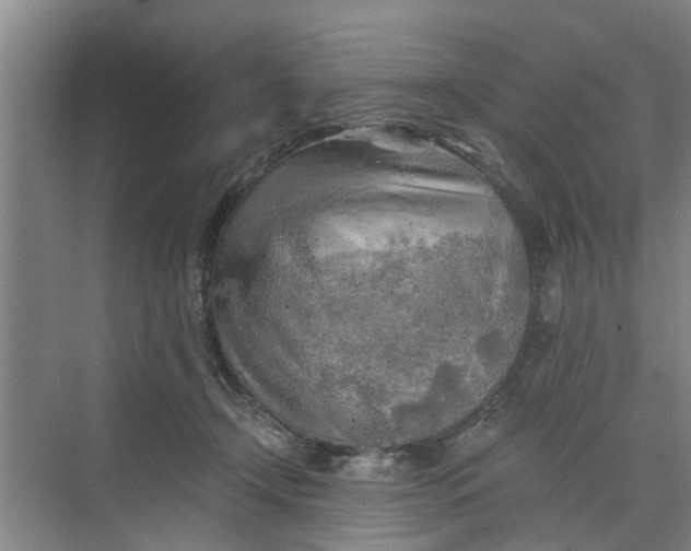 X0000068750366200605121616