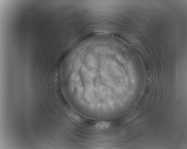 X0000068750369200605121616