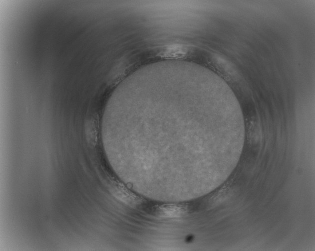 X0000068750370200605121616