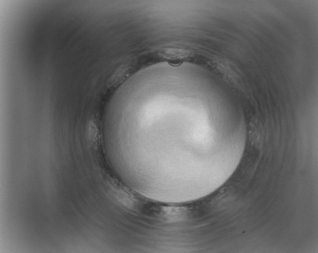 X0000068750371200605121616