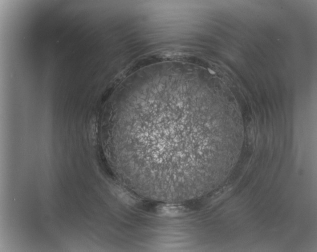 X0000068750372200605121616