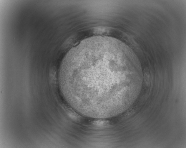 X0000068750375200605121616