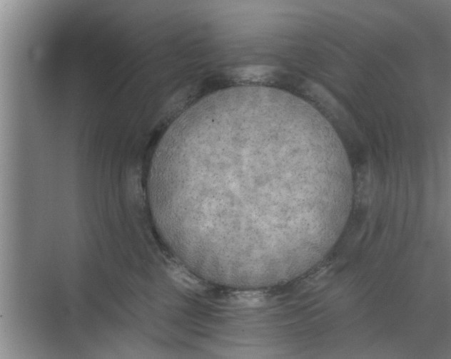 X0000068750377200605121616