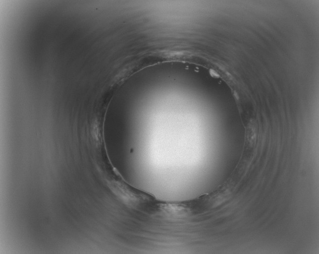 X0000068750380200605121616