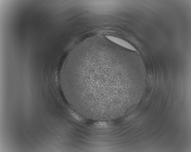 X0000068750381200605121616