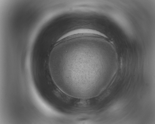 X0000068750383200605121616