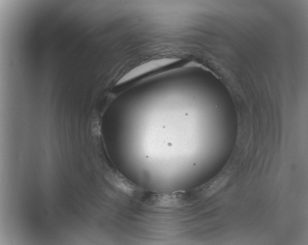 X0000068750384200605121616