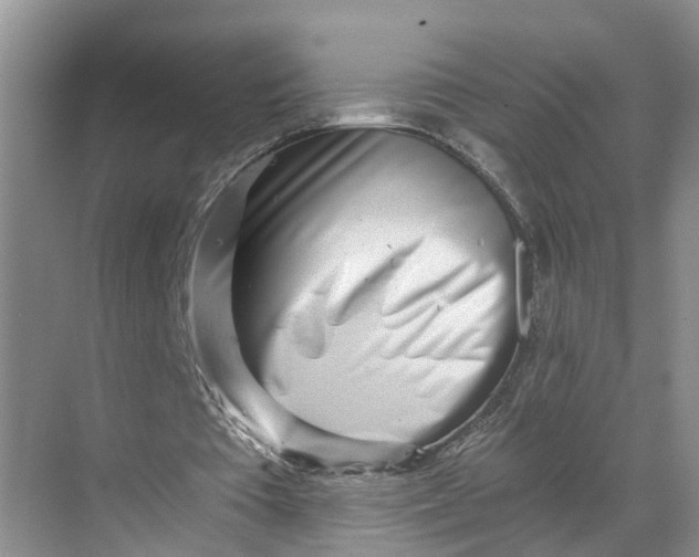 X0000068750385200605121615