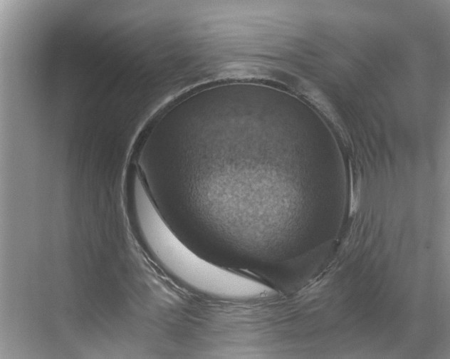 X0000068750387200605121615