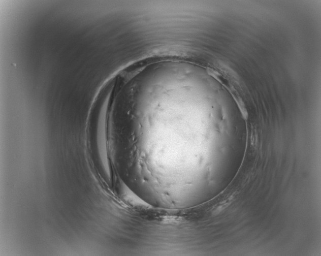 X0000068750388200605121615