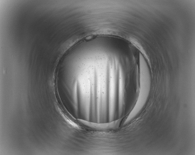 X0000068750389200605121615