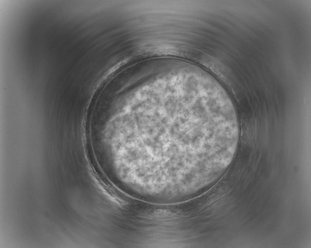 X0000068750390200605121615