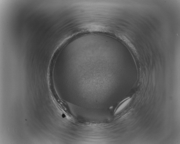 X0000068750391200605121615