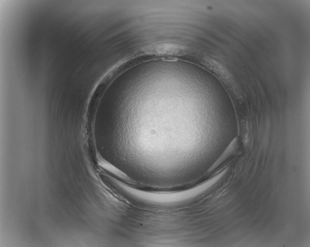 X0000068750392200605121615