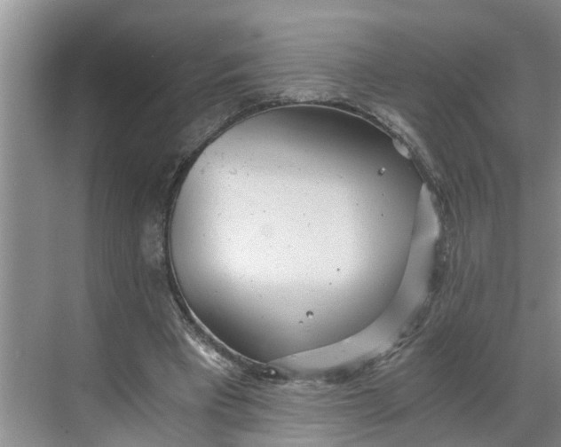 X0000068750393200605121615