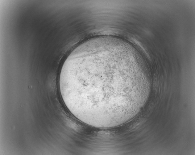 X0000068750394200605121615