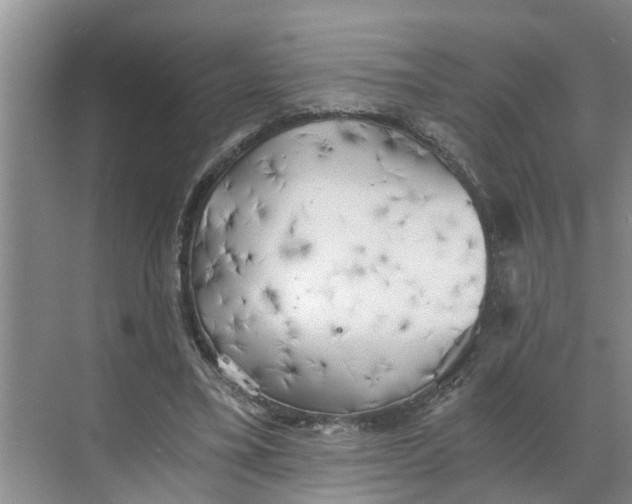 X0000068750395200605121615