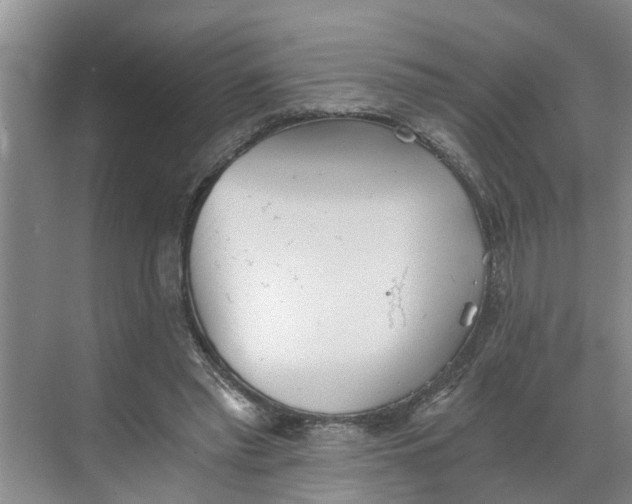 X0000068750397200605121615