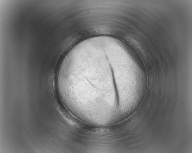 X0000068750398200605121615