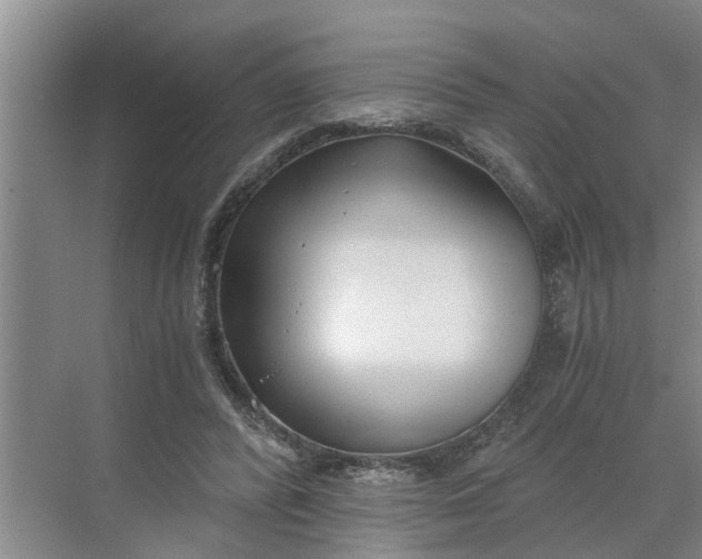 X0000068750400200605121615