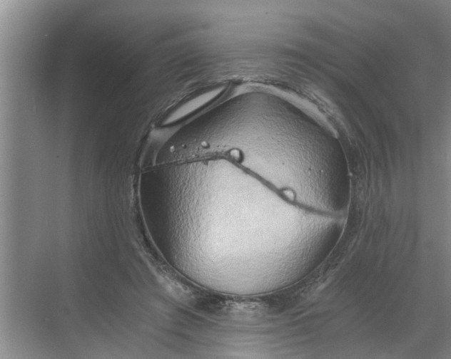 X0000068750401200605121615