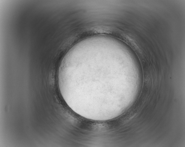 X0000068750402200605121615