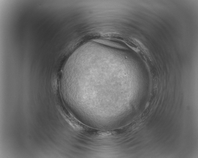 X0000068750405200605121615