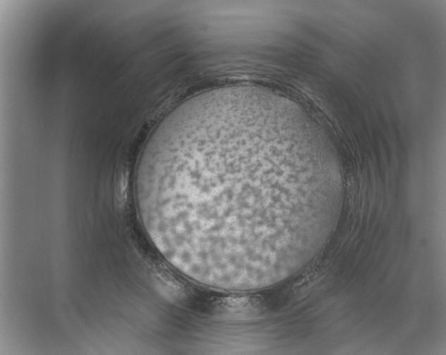 X0000068750406200605121615