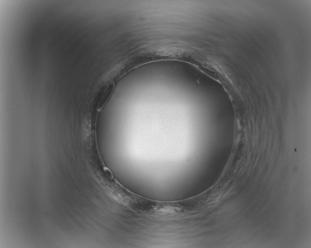 X0000068750407200605121615