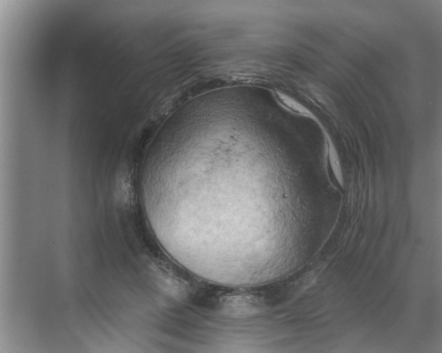 X0000068750408200605121615