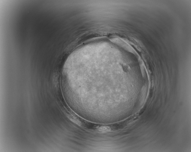 X0000068750409200605121615